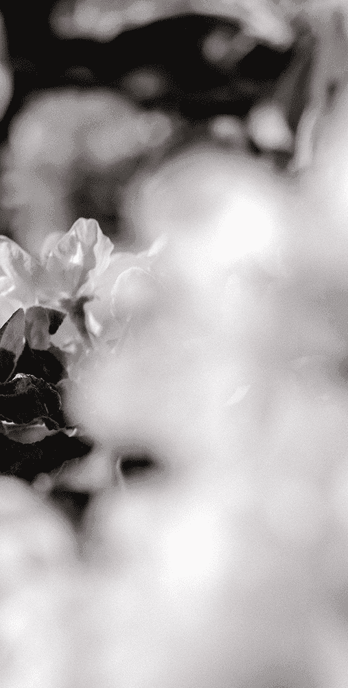 Portrait photography